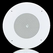 10oz Dual Cone Speaker with Grille and 5W Transformer