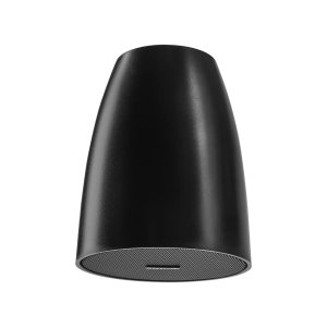 MXP-1 Mini Pendant Passive Loudspeaker