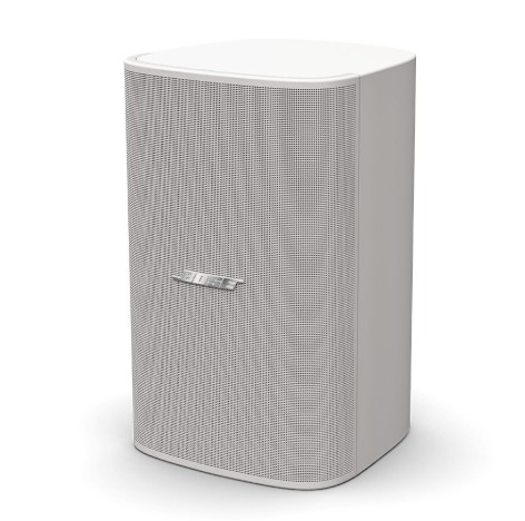 Bose DesignMax DM8SE White (PAIR)