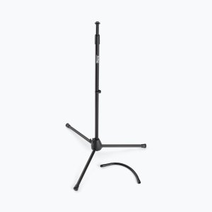 Mic Stand with Gooseneck