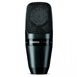 PG Alta Series Large Diaphragm Side-Address Cardioid Condenser Microphone