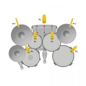 Instrument Microphone