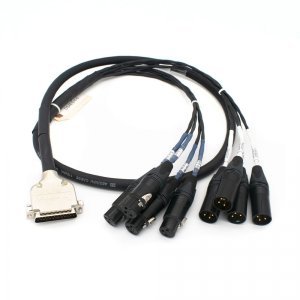 CBI DSAES-T-10