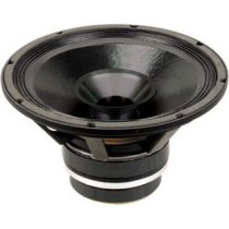 12″ Woofer Replacement for AHXX-12T Stadium Horns