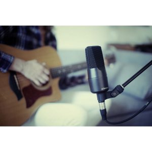 Studio condenser microphone