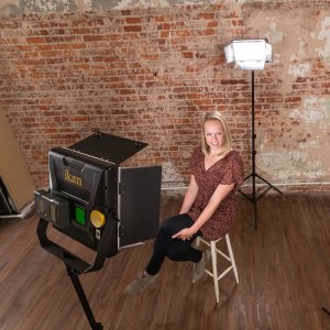 Rayden Daylight Half x 1 LED Light