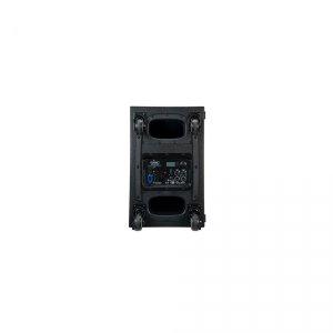Powered Cardioid Subwoofer