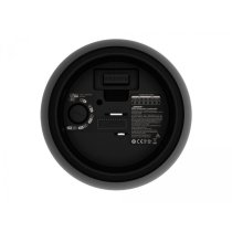 DesignMax DM5P Black Pendant Loudspeaker