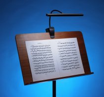 USB-Rechargeable Orchestra Light