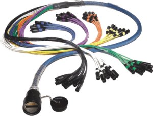 WHIRLWIND FM-0-16-XL-W5IRP[O]-