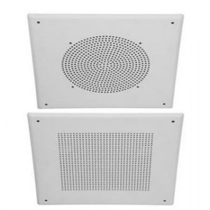 QUAM BS8W