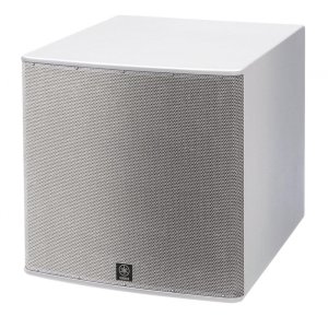 Installation Series 18″ Subwoofer (White)