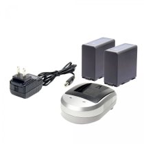 Panasonic D54 Style Charger w/ 2x IBP-D54 Batterie