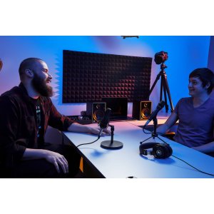 Large-Diaphragm Condenser Microphone