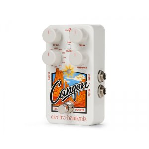 Delay &amp; Looper