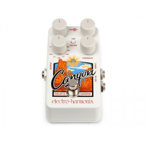 Delay &amp; Looper