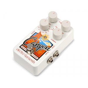 Delay &amp; Looper