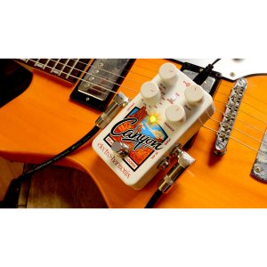 Delay &amp; Looper