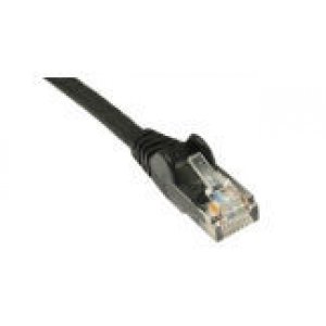 BIAMP C5E-10-P
