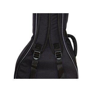 Banjo Bag