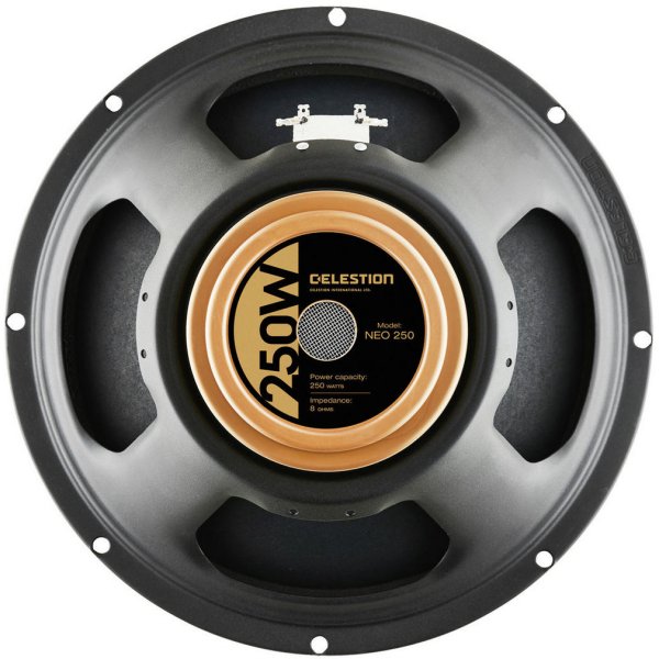 12&quot; guitar speaker