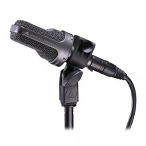 AE3000 Condenser Instrument Microphone