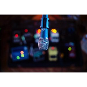 Dynamic Series Cardioid Handheld Mic