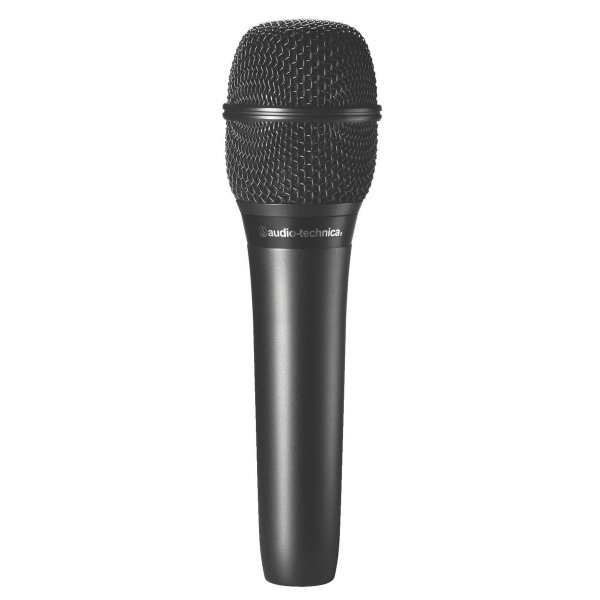 Cardioid Condenser Handheld Microphone