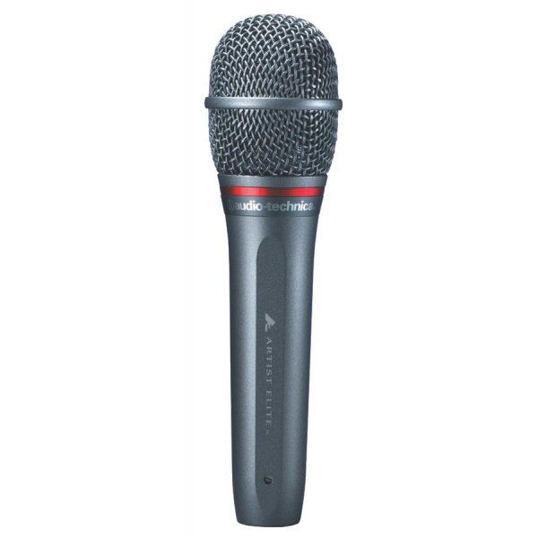 AE6100 Hypercardioid Handheld Microphone