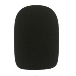 Foam windscreen
