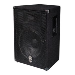 BR Series 15″ 2-Way PA Cabinet