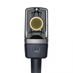 Studio / Stage Vocal and Instrument Microphone