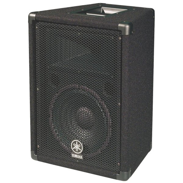 BR Series 10" 2-Way PA Cabinet
