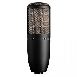 Perception Series True Condenser Multi-Pattern Mic