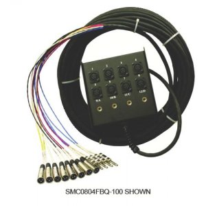 SMC Series 12 Channel Snake (8 Mic, 4 XLR Returns, 100')