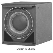 Compact High Power Single 12″ Subwoofer (White)