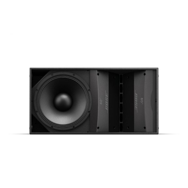 ArenaMatch AM10/60 Outdoor Loudspeaker