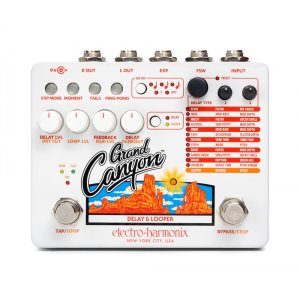Delay & Looper