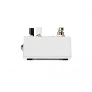 Delay &amp; Looper