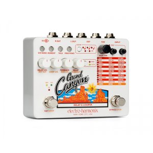 Delay &amp; Looper