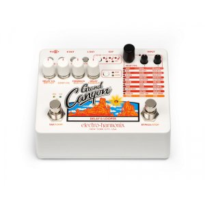 Delay &amp; Looper