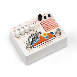 Delay &amp; Looper