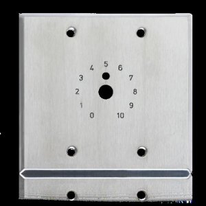 Double Gang S/S Plate; Dial Scale Stamped and Pain