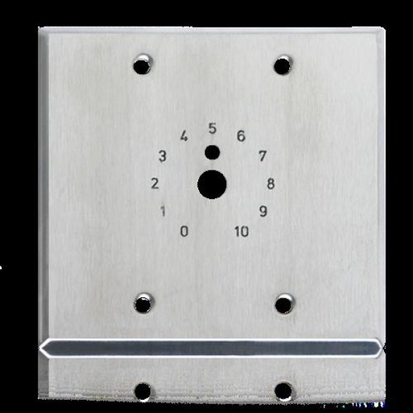 Double Gang S/S Plate; Dial Scale Stamped and Pain