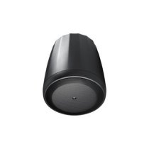 Compact Full-Range Pendant Speaker
