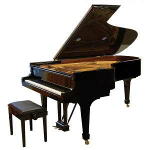 SCHOEPS BLM 03 Cg