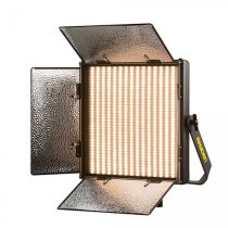 Rayden Bi-Color 1 x 1 LED Light