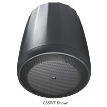 Compact Full-Range Pendant Speaker (White)
