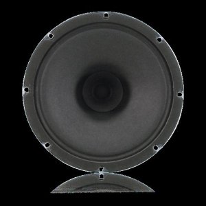 8″ Dual Cone Loudspeaker with 25V/70.7V-4W Transfo
