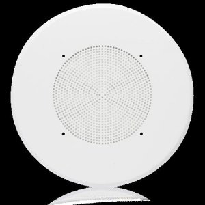 Economical 8″ Torsion Loudspeaker Baffle